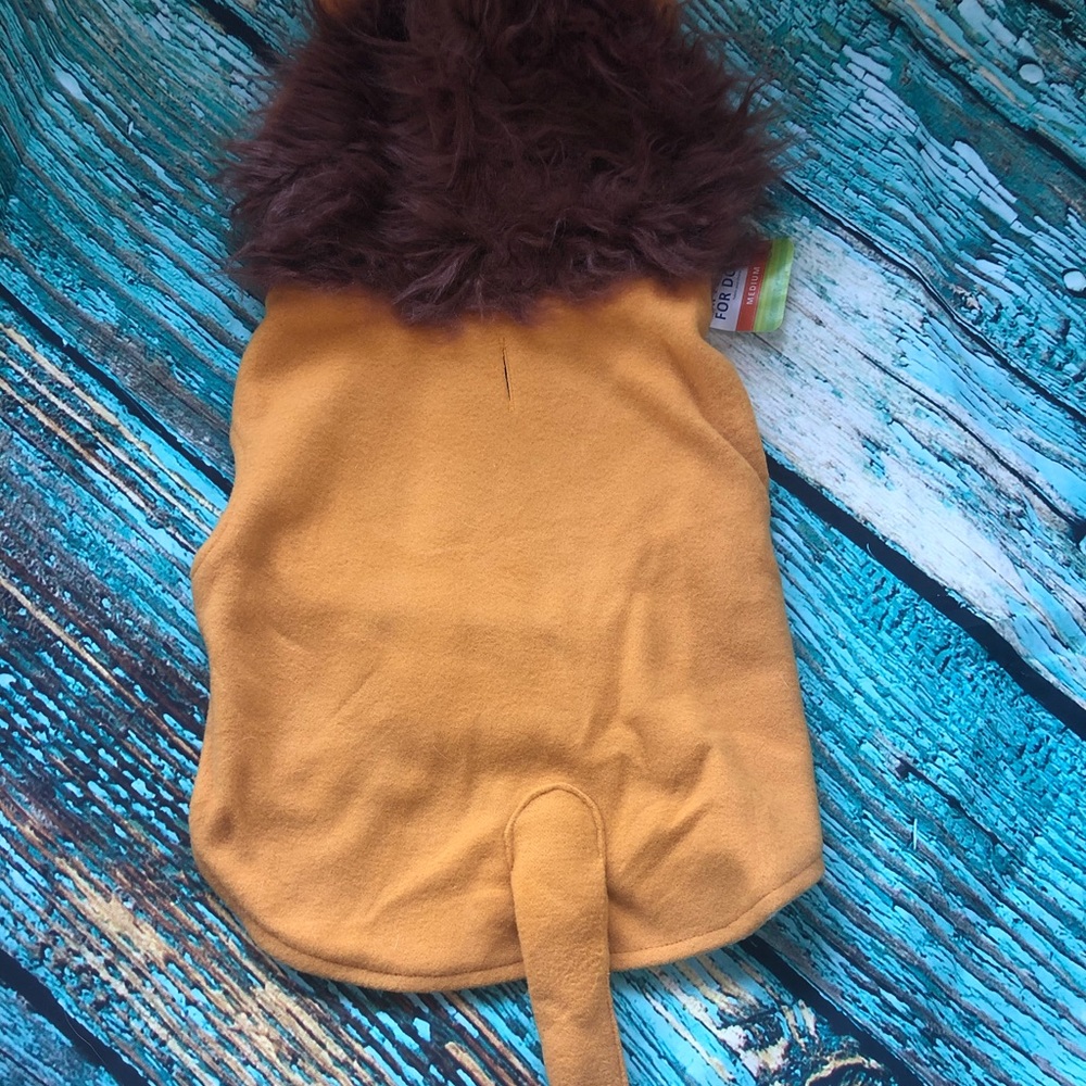 Dogs Lion Costume- Available In Various Sizes - Picture 3 of 8
